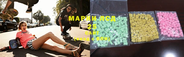 хмурый Аркадак