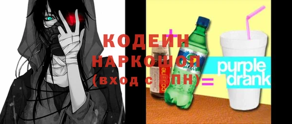 хмурый Аркадак