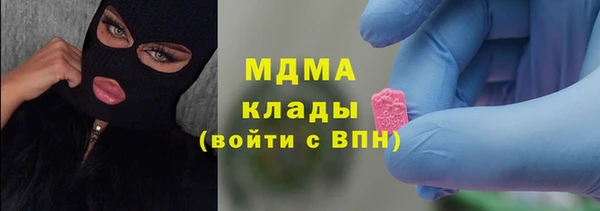 хмурый Аркадак