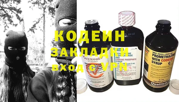 хмурый Аркадак