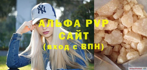 хмурый Аркадак