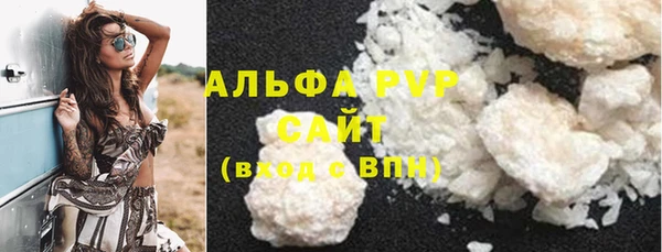 хмурый Аркадак