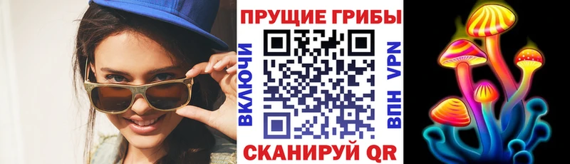 Псилоцибиновые грибы прущие грибы Пыть-Ях